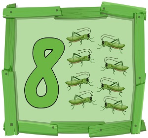 okul öncesi çocuklar sayıları tanıyalım çalışma sayfaları